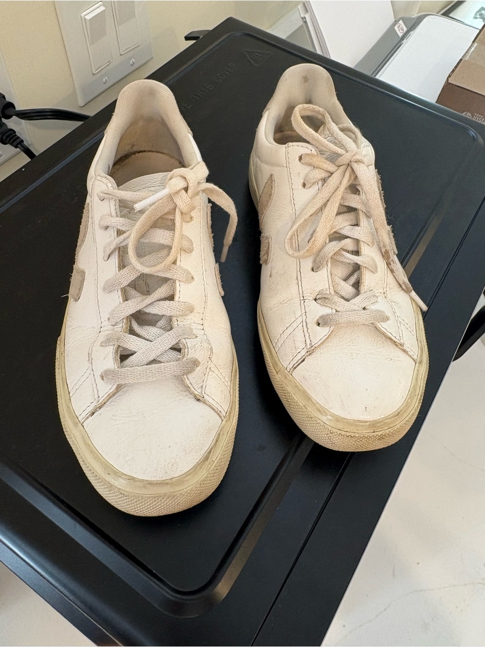 Veja Women's Low-Top Sneakers in Off-White
